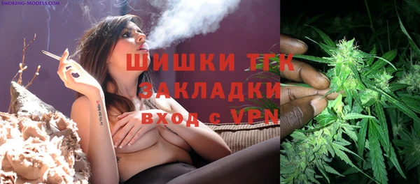 бошки Козельск