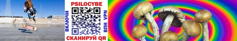 kraken как войти  shop состав  Галлюциногенные грибы Psilocybe  купить наркотики цена  Калининец 